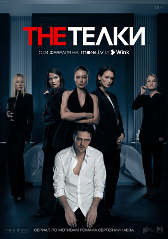 The Телки - постер сериала